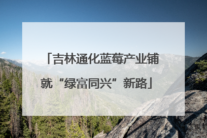 吉林通化蓝莓产业铺就“绿富同兴”新路