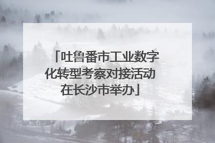 吐鲁番市工业数字化转型考察对接活动在长沙市举办