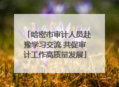 哈密市审计人员赴豫学习交流 共促审计工作高质量发展