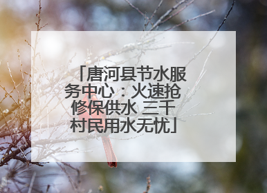 唐河县节水服务中心：火速抢修保供水 三千村民用水无忧