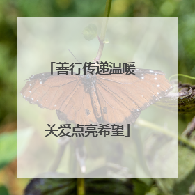 善行传递温暖 关爱点亮希望