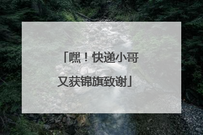 嘿！快递小哥又获锦旗致谢
