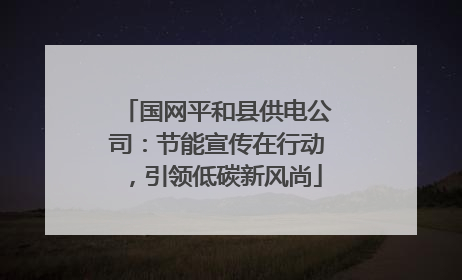 国网平和县供电公司：节能宣传在行动，引领低碳新风尚