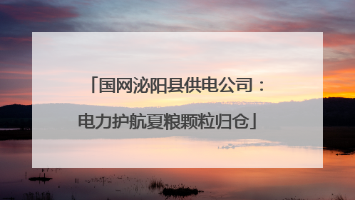 国网泌阳县供电公司：电力护航夏粮颗粒归仓