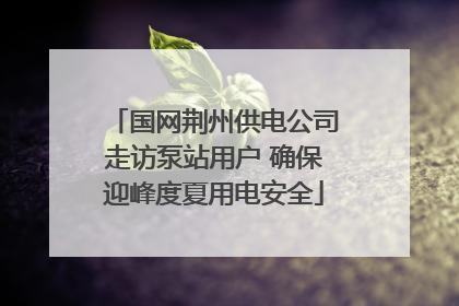 国网荆州供电公司走访泵站用户 确保迎峰度夏用电安全