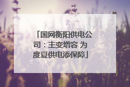 国网衡阳供电公司：主变增容 为度夏供电添保障