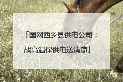 国网西乡县供电公司：战高温保供电送清凉
