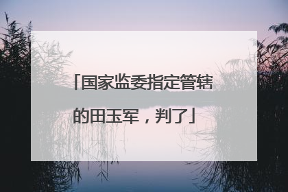 国家监委指定管辖的田玉军，判了