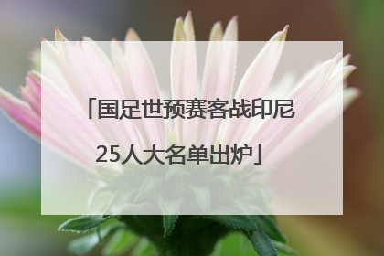 国足世预赛客战印尼25人大名单出炉