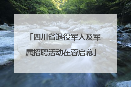 四川省退役军人及军属招聘活动在蓉启幕