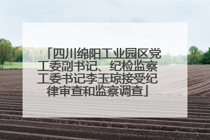 四川绵阳工业园区党工委副书记、纪检监察工委书记李玉琼接受纪律审查和监察调查