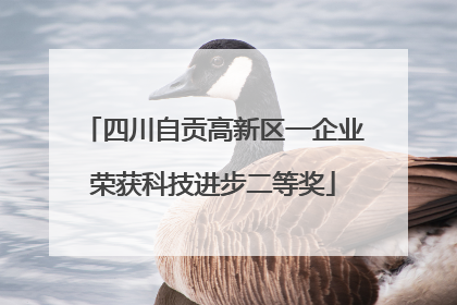 四川自贡高新区一企业荣获科技进步二等奖