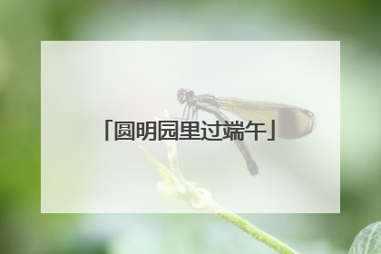 圆明园里过端午