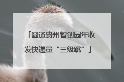 圆通贵州智创园年收发快递量“三级跳”