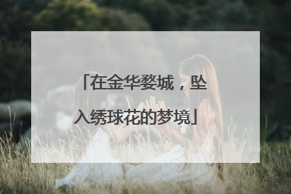 在金华婺城，坠入绣球花的梦境