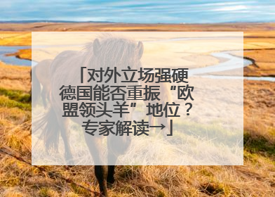 对外立场强硬 德国能否重振“欧盟领头羊”地位？专家解读→