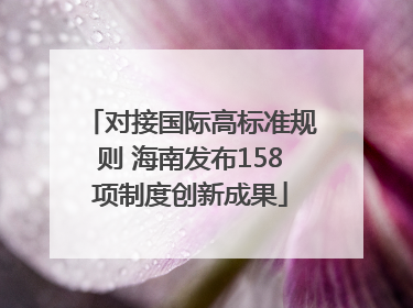 对接国际高标准规则 海南发布158项制度创新成果