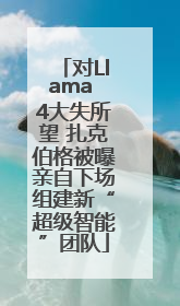 对Llama 4大失所望 扎克伯格被曝亲自下场组建新“超级智能”团队