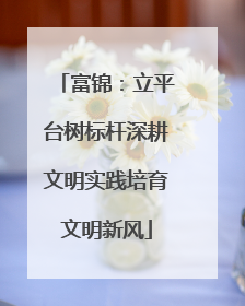 富锦：立平台树标杆深耕文明实践培育文明新风