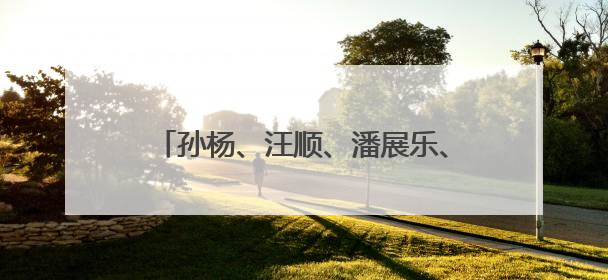 孙杨、汪顺、潘展乐、费立纬同时戴上金牌，网友：看懂的人都哭了