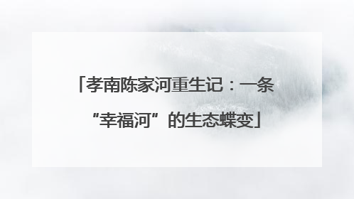 孝南陈家河重生记：一条“幸福河”的生态蝶变