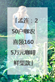 孟连：250户咖农喜领1605万元咖啡鲜果款