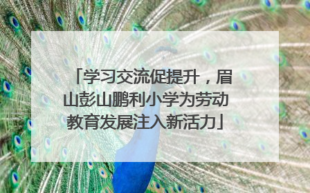 学习交流促提升，眉山彭山鹏利小学为劳动教育发展注入新活力