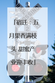 宿迁：五月果香满枝头 甜蜜产业迎丰收