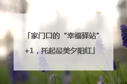 家门口的“幸福驿站”+1，托起最美夕阳红