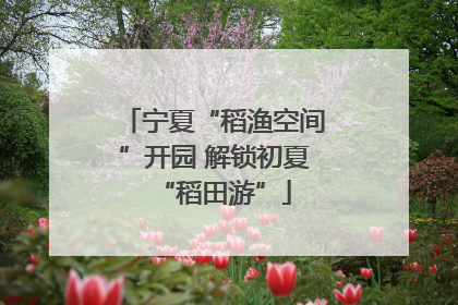 宁夏“稻渔空间”开园 解锁初夏“稻田游”
