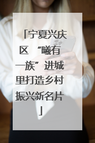 宁夏兴庆区 “曦有一族”进城里打造乡村振兴新名片