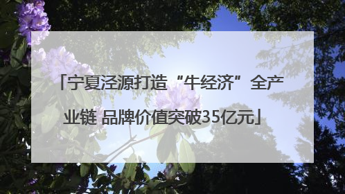 宁夏泾源打造“牛经济”全产业链 品牌价值突破35亿元