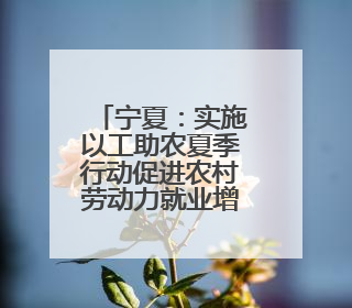 宁夏：实施以工助农夏季行动促进农村劳动力就业增收