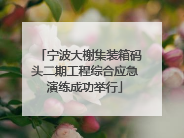 宁波大榭集装箱码头二期工程综合应急演练成功举行