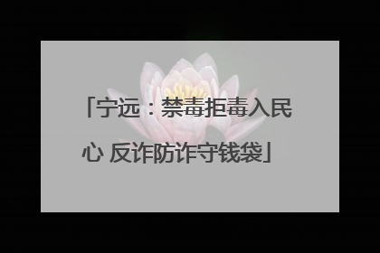 宁远：禁毒拒毒入民心 反诈防诈守钱袋