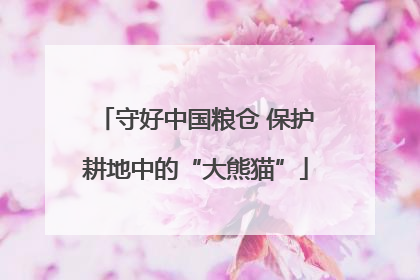 守好中国粮仓 保护耕地中的“大熊猫”