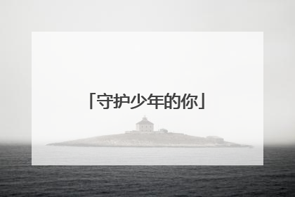 守护少年的你