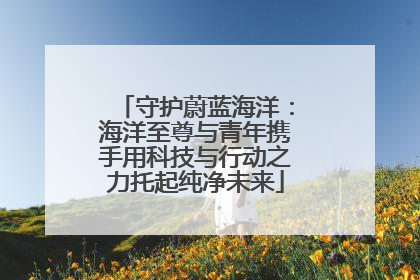 守护蔚蓝海洋：海洋至尊与青年携手用科技与行动之力托起纯净未来