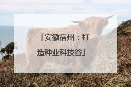 安徽宿州：打造种业科技谷