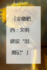 安徽肥西：文明建设“出圈记”