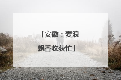 安徽：麦浪飘香收获忙