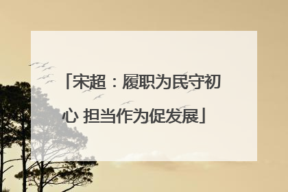 宋超：履职为民守初心 担当作为促发展