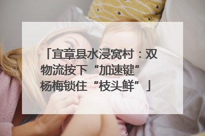 宜章县水浸窝村：双物流按下“加速键” 杨梅锁住“枝头鲜”