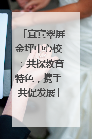 宜宾翠屏金坪中心校：共探教育特色，携手共促发展
