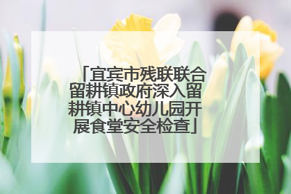 宜宾市残联联合留耕镇政府深入留耕镇中心幼儿园开展食堂安全检查
