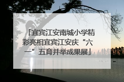 宜宾江安南城小学精彩亮相宜宾江安庆“六一”五育并举成果展
