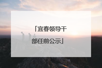 宜春领导干部任前公示