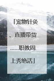 宠物针灸、直播带货……职教周上秀绝活