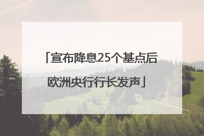 宣布降息25个基点后 欧洲央行行长发声