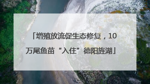 增殖放流促生态修复，10万尾鱼苗“入住”德阳旌湖